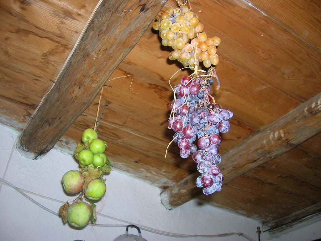 Serranello Azienda Agricola Apartman Bono  Kültér fotó